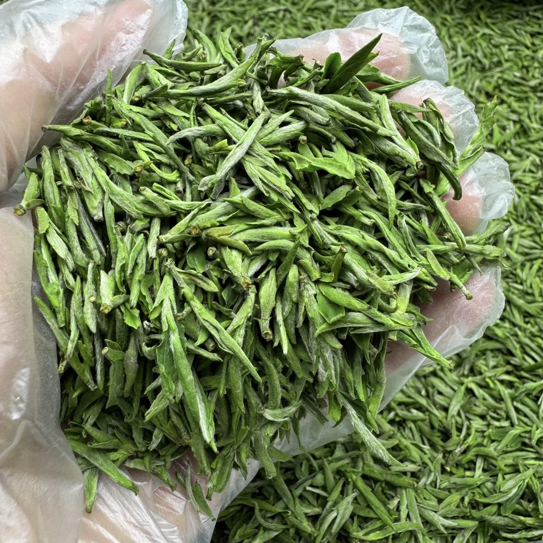 2024年明前茶黄山毛峰高山茶