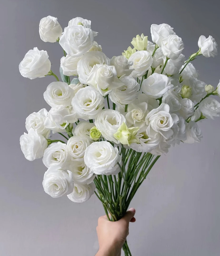 「曼曼」洋桔梗白色3小扎 鲜花任意满两单包邮拒收不售后