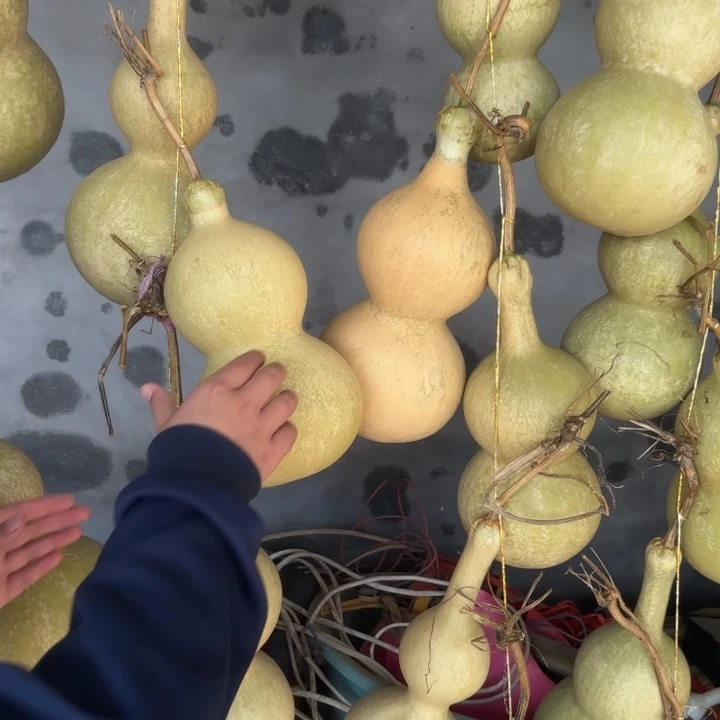 咕噜咕噜咕噜咕噜咕噜