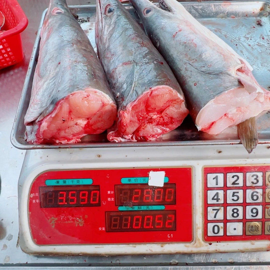 中国大陆三个鳗鱼头