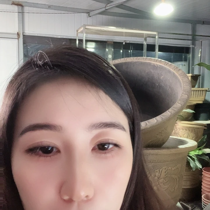 盆景盆50口径花盆两个