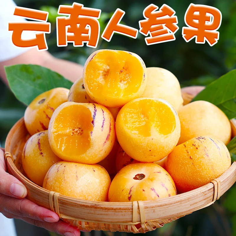云南石林黄肉人参果黄心圆果孕妇水果应季新鲜水果【带箱5斤装】