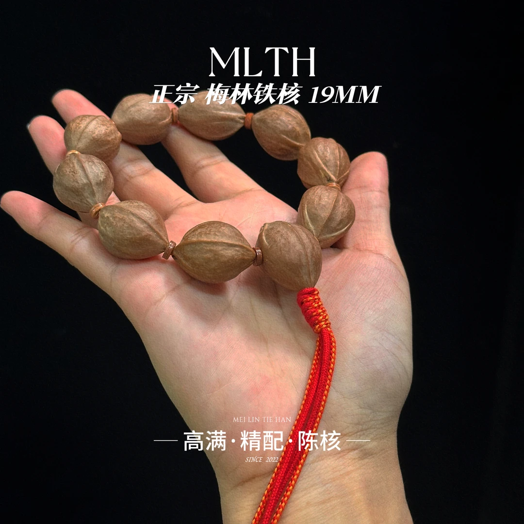 原生态老树梅林铁核19尺寸合集三花鲨鱼背饱满精挑高配文玩素核