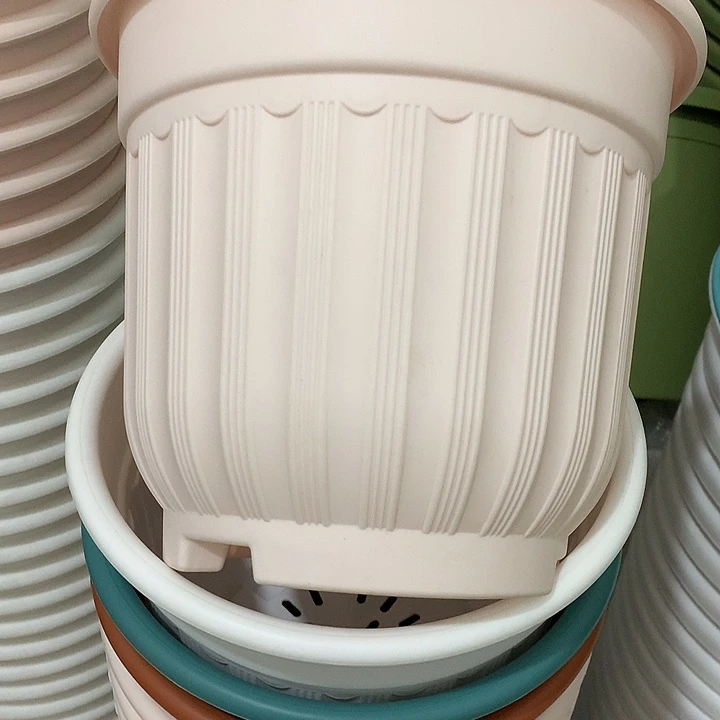 罗马口21高18粉4个