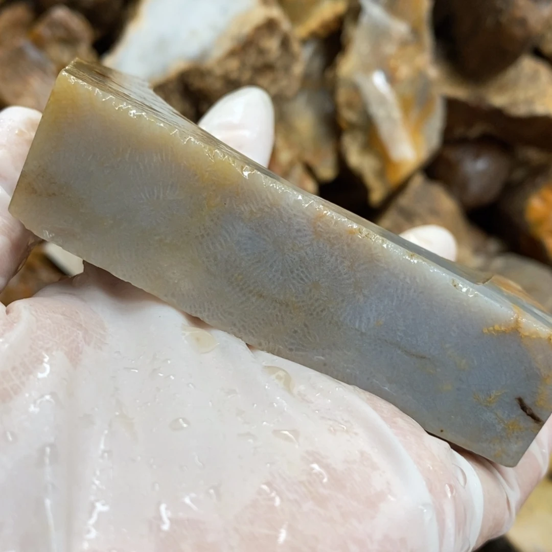 【闪购商品】硅化玉颈饰未镶嵌