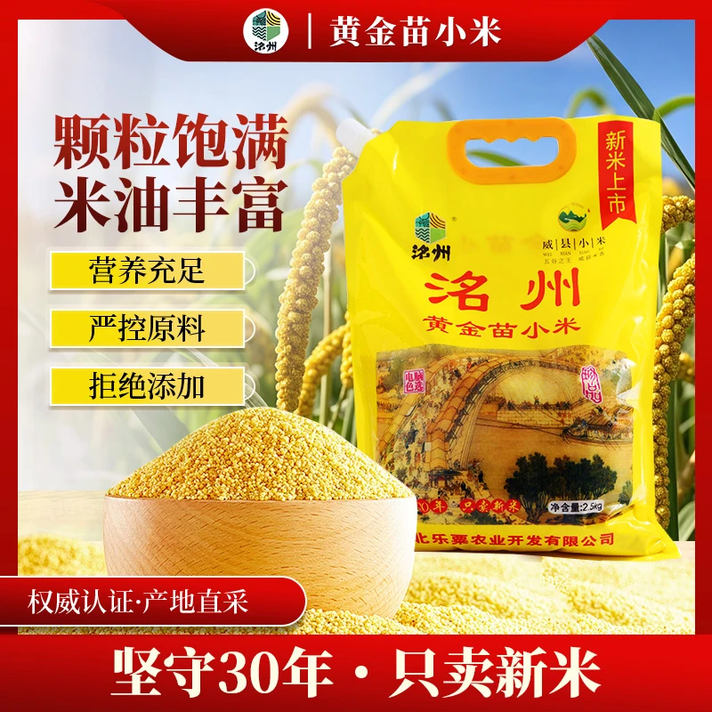 河北特产黄小米营养丰富煮粥香甜米油浓稠小米粥杂粮黄小米新米