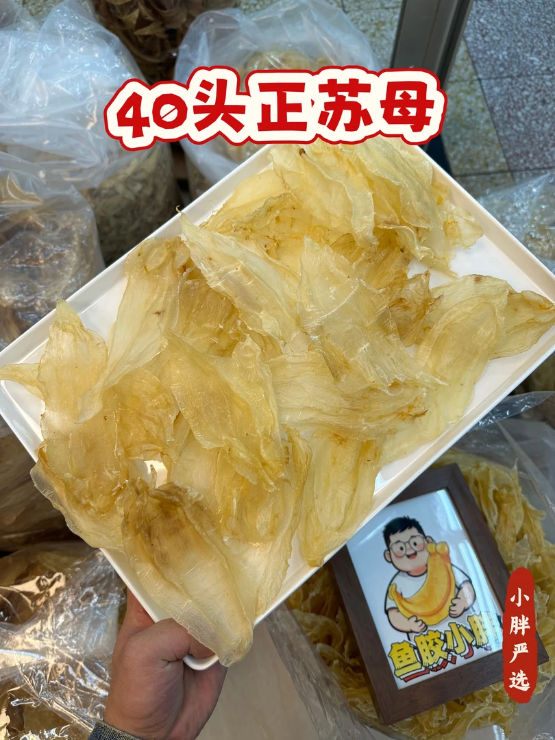 40头正苏母 玻璃肉质 清水足干 胶质丰富