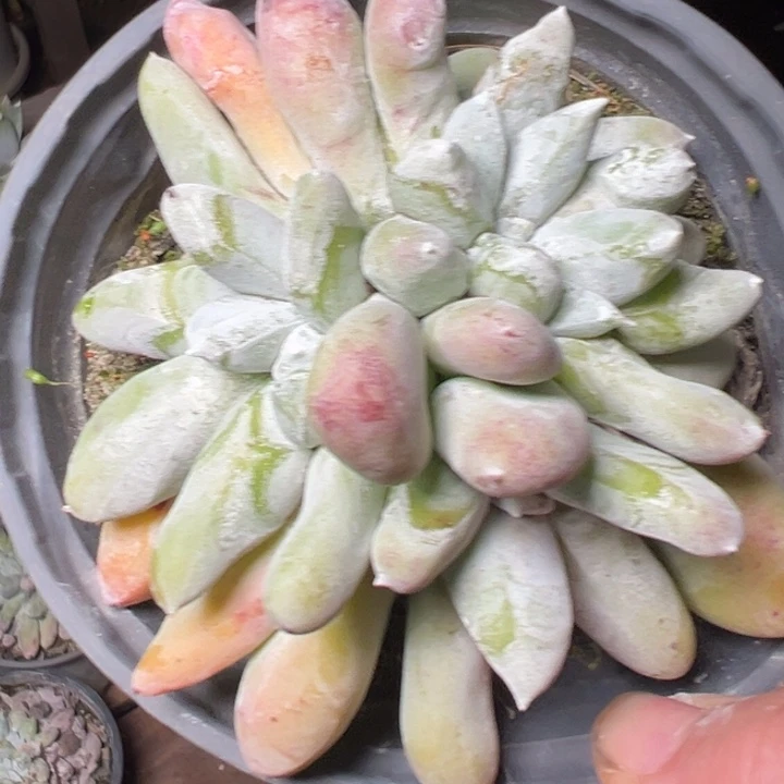 1805哈哈哈哈哈哈哈哈