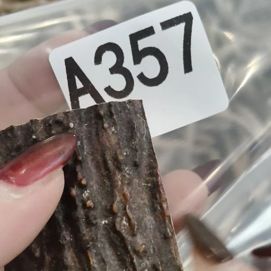祥***和鹿角鹿角鹿角鹿角鹿角