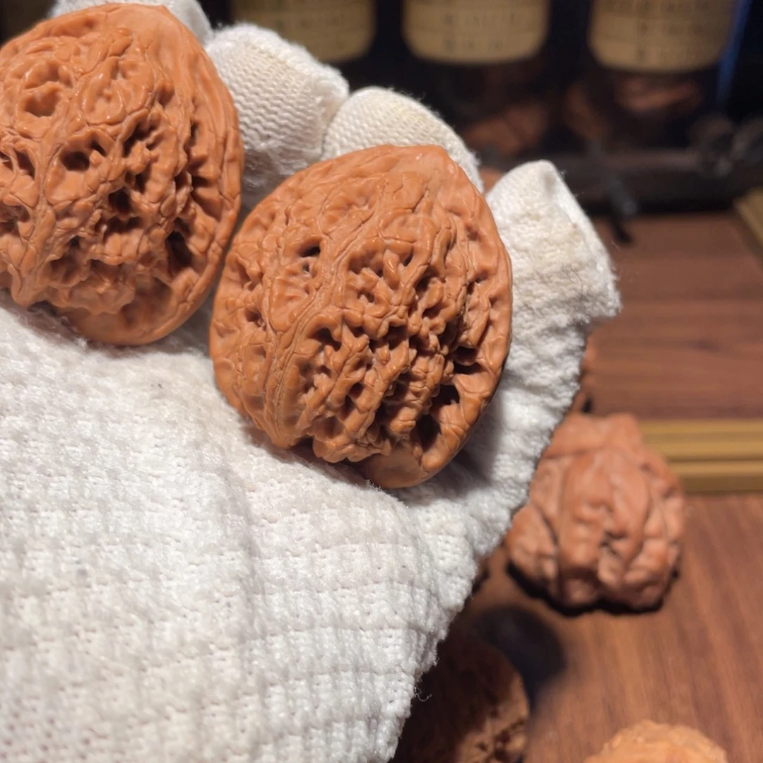 核桃40水龙lllllllll