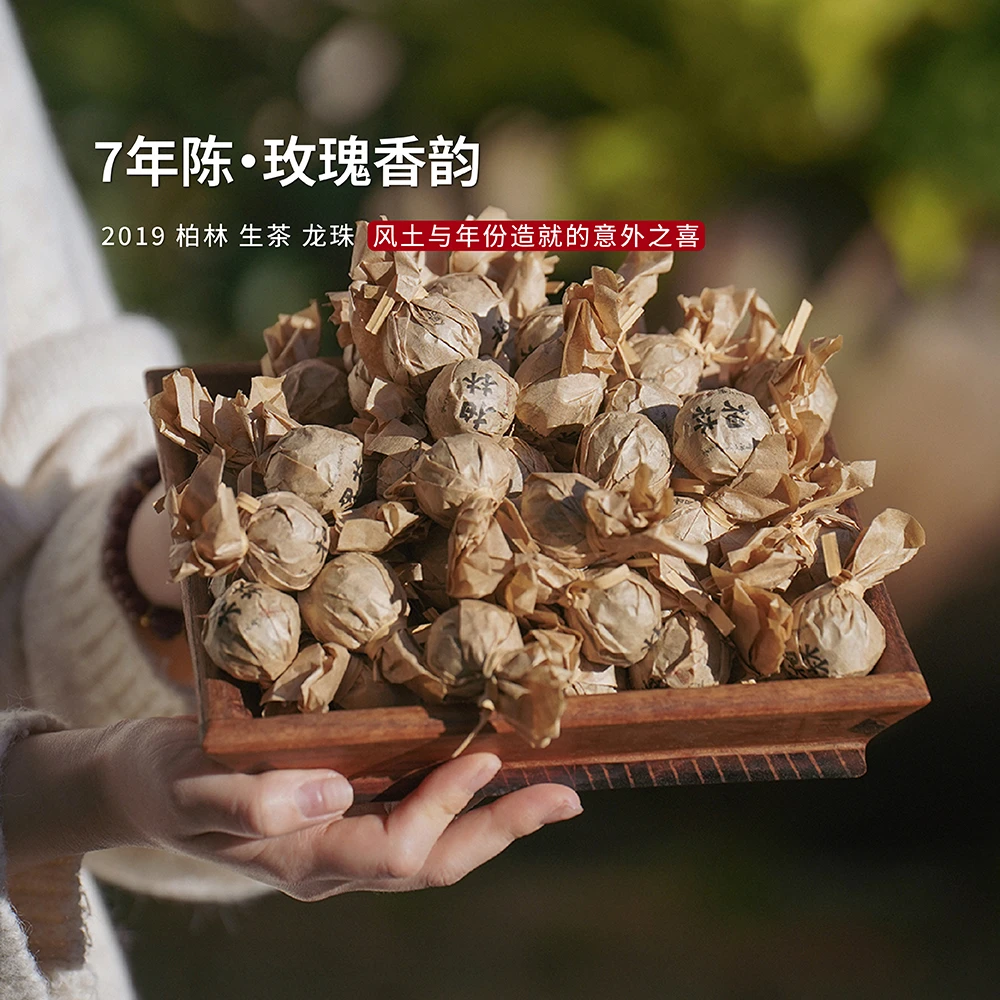 观一分店 |入界·2019 柏林生茶龙珠500g/桶 蜜韵玫瑰香普洱老生茶