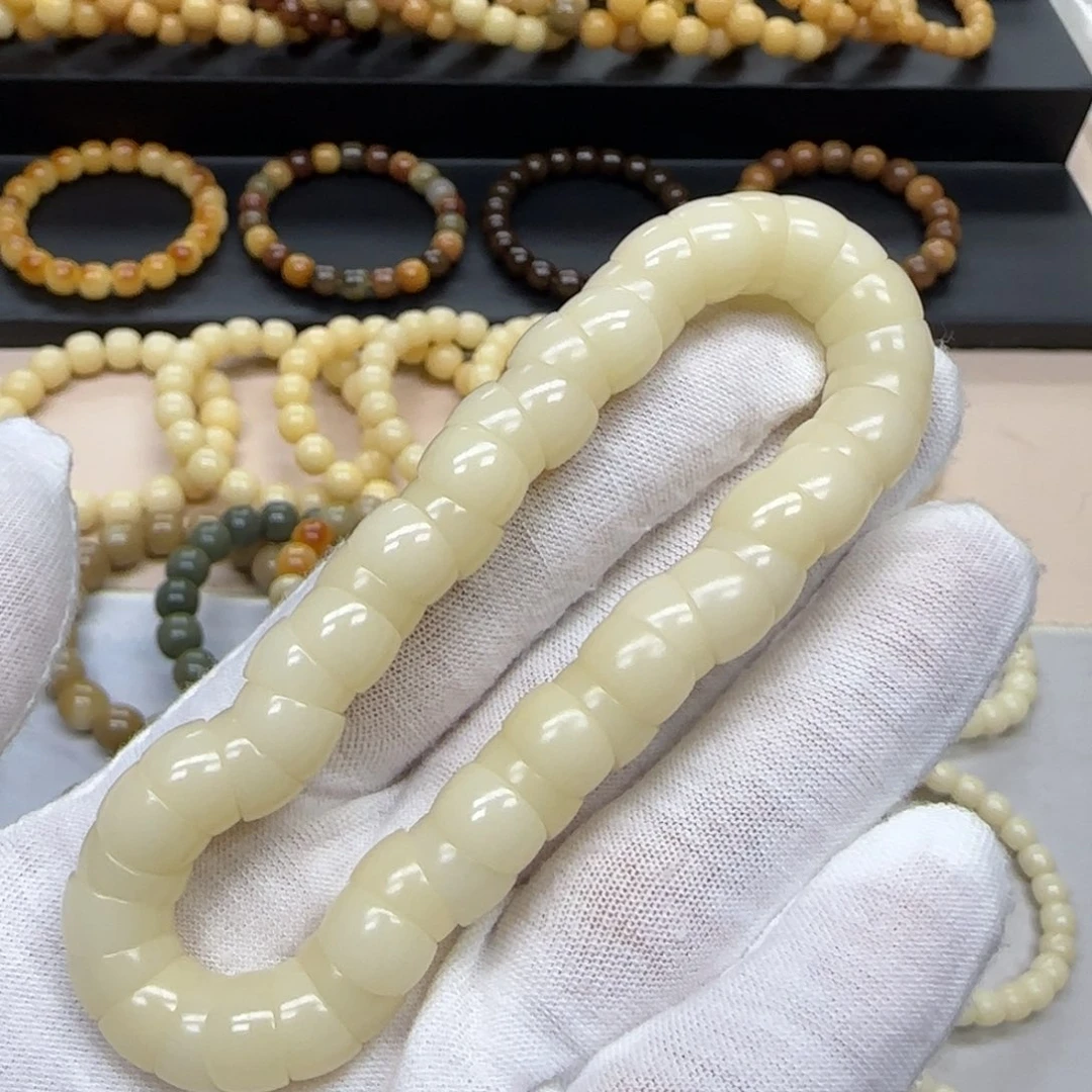 菩提根/象牙果手串卡10 大肠 5年