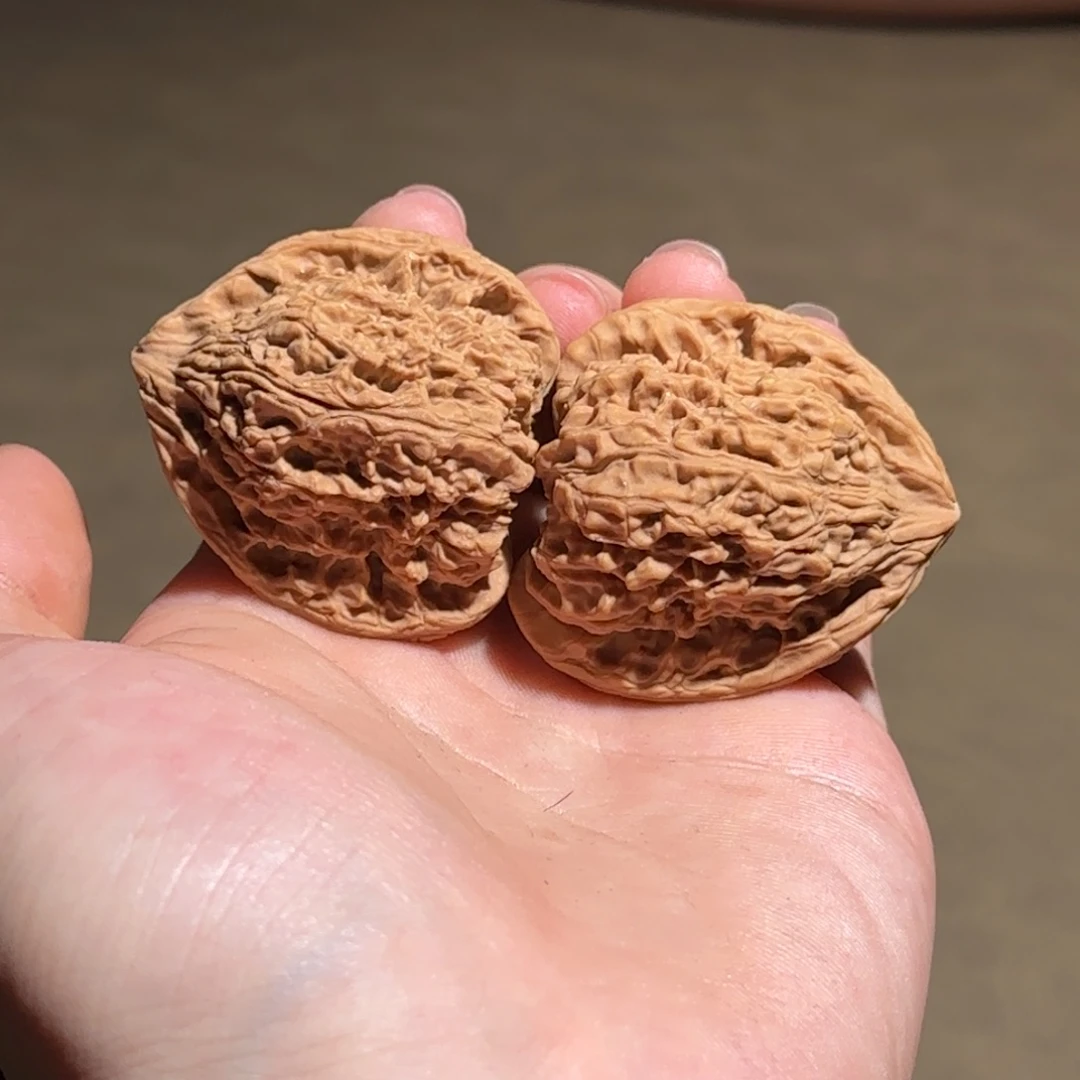 大叶紫檀（黑酸枝木类）