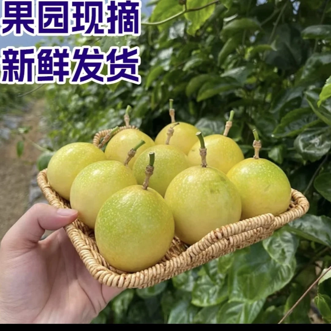 （顺丰包邮)榕江村超百香果钦密9号