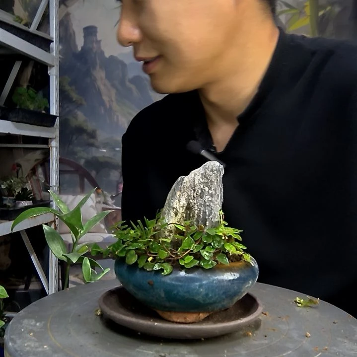 Y***x中青园艺一物一拍430