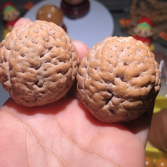 橄榄核把件脑纹金刚菩提