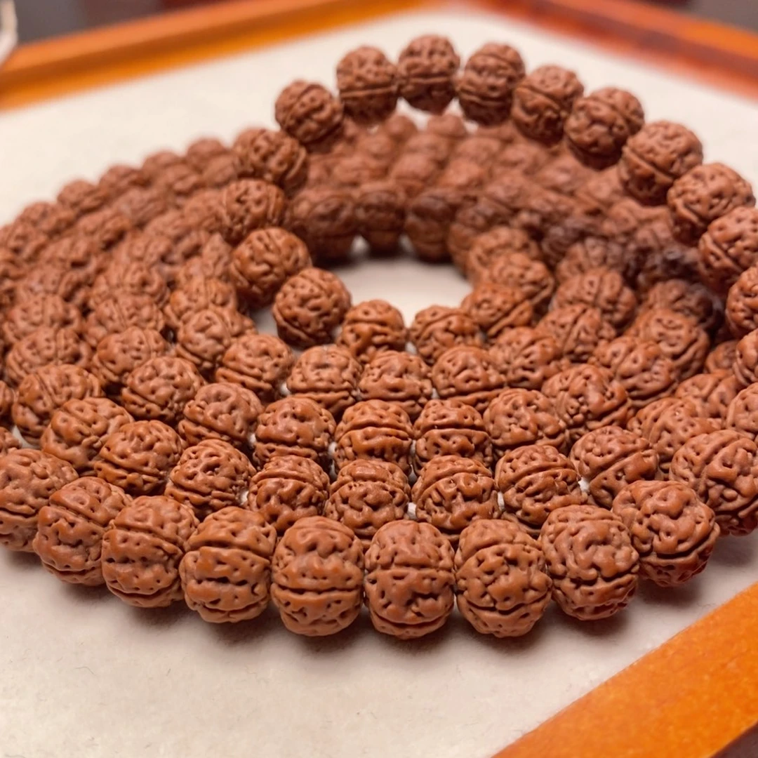 S***龙菩提籽类老树王长串