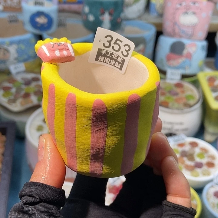 大舅生石花肉锥多肉353