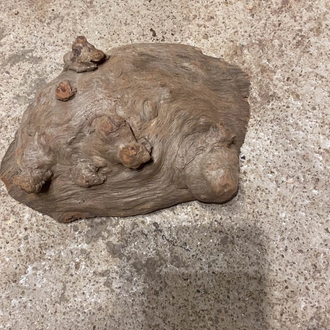 突***你荔枝木随形木材一个