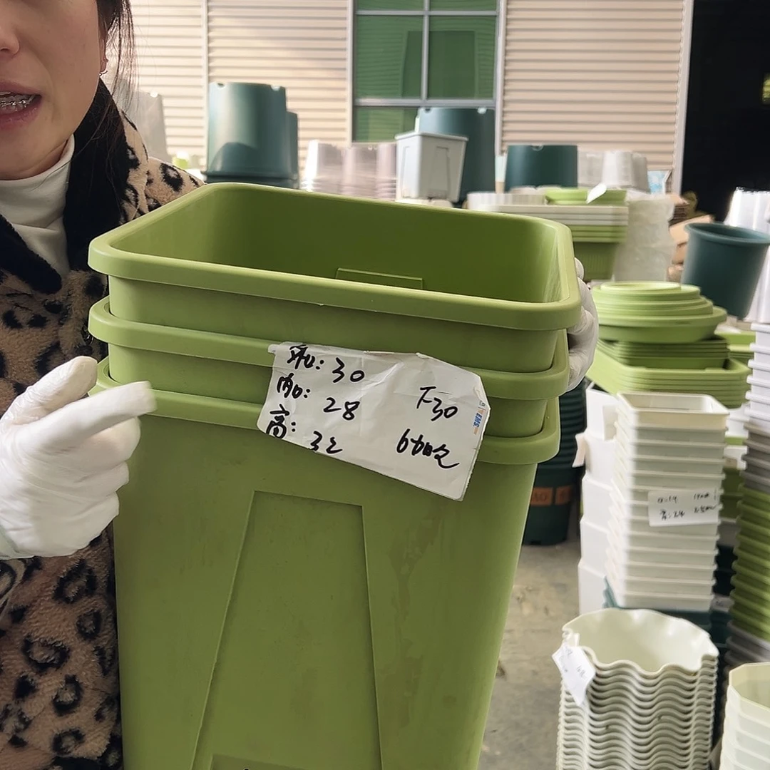 方盆F30果绿3个无托