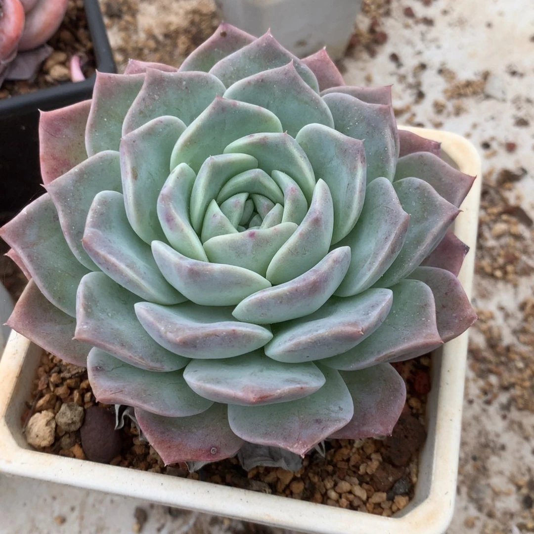 哈哈哈哈哈哈哈哈哈