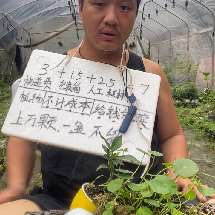 退款拉黑一物一拍77