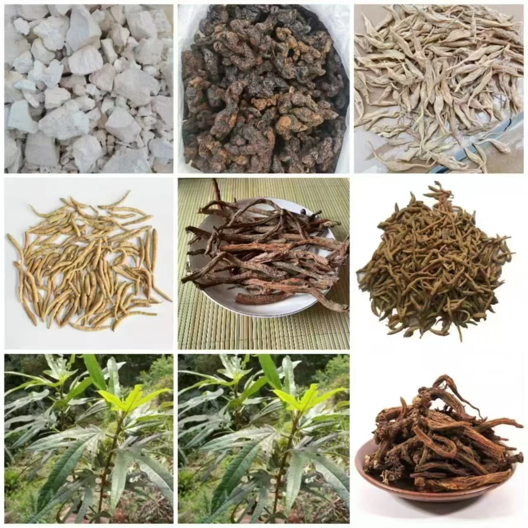 东南亚一手土特产非香菇特色山货