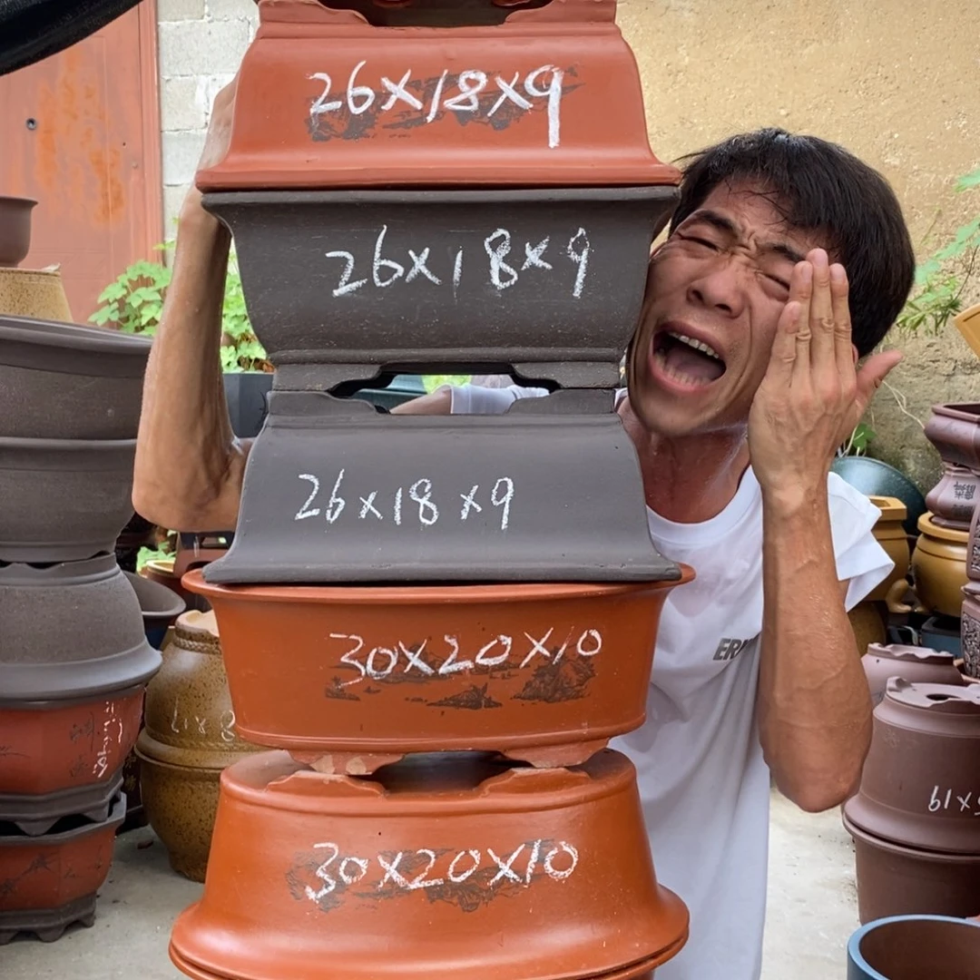 紫砂紫砂紫砂紫砂