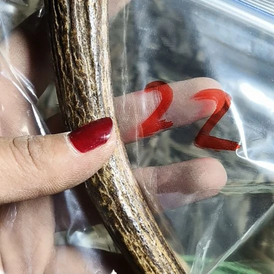 雾***发鹿角鹿角鹿角鹿角鹿角鹿角