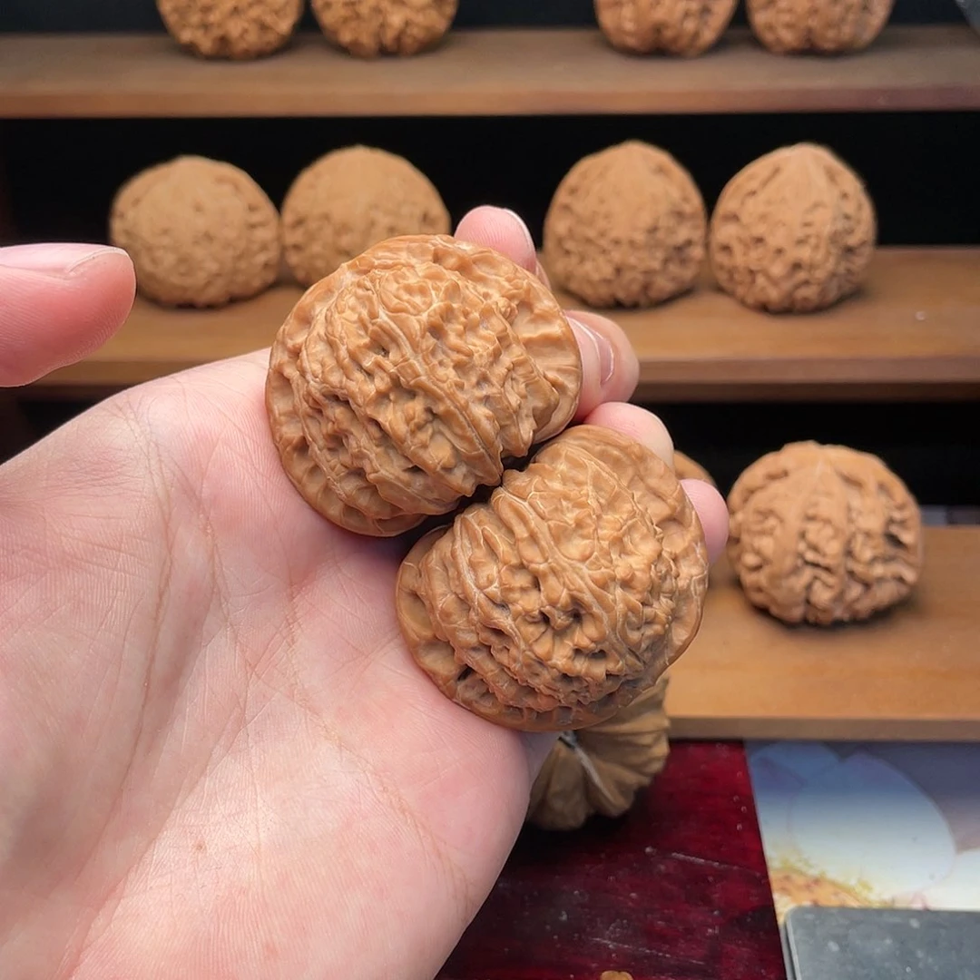 文玩核桃把件?****?45毕业白狮子