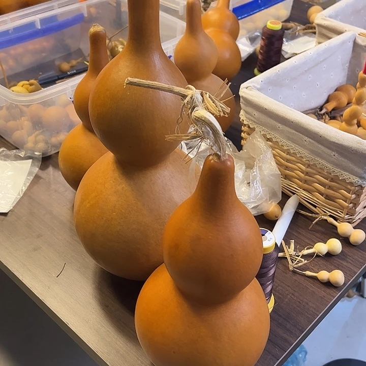 彬***有机玻璃蚂蚁蚂蚁蚂蚁蚂蚁
