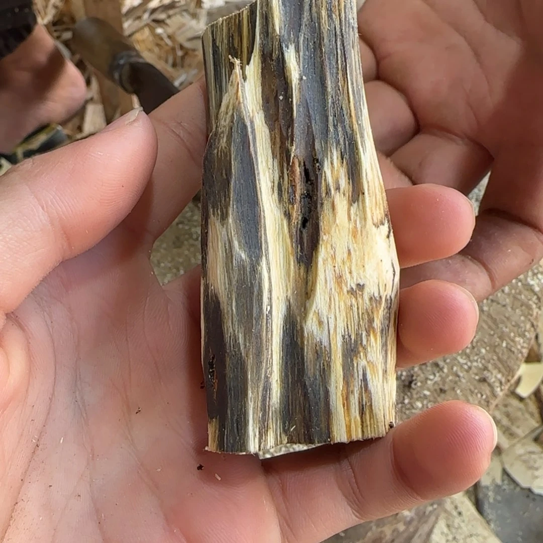 沉香碎屑沉香10号沉香原木一个