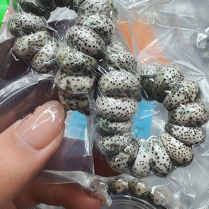 星月菩提手串602傲世星月菩提猪大肠14单圈