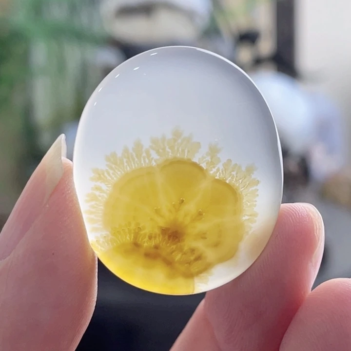 未镶嵌玛瑙/玉髓珠宝半成品
