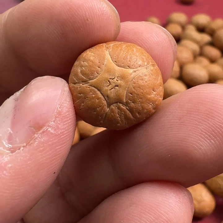 凤眼菩提吊坠五星