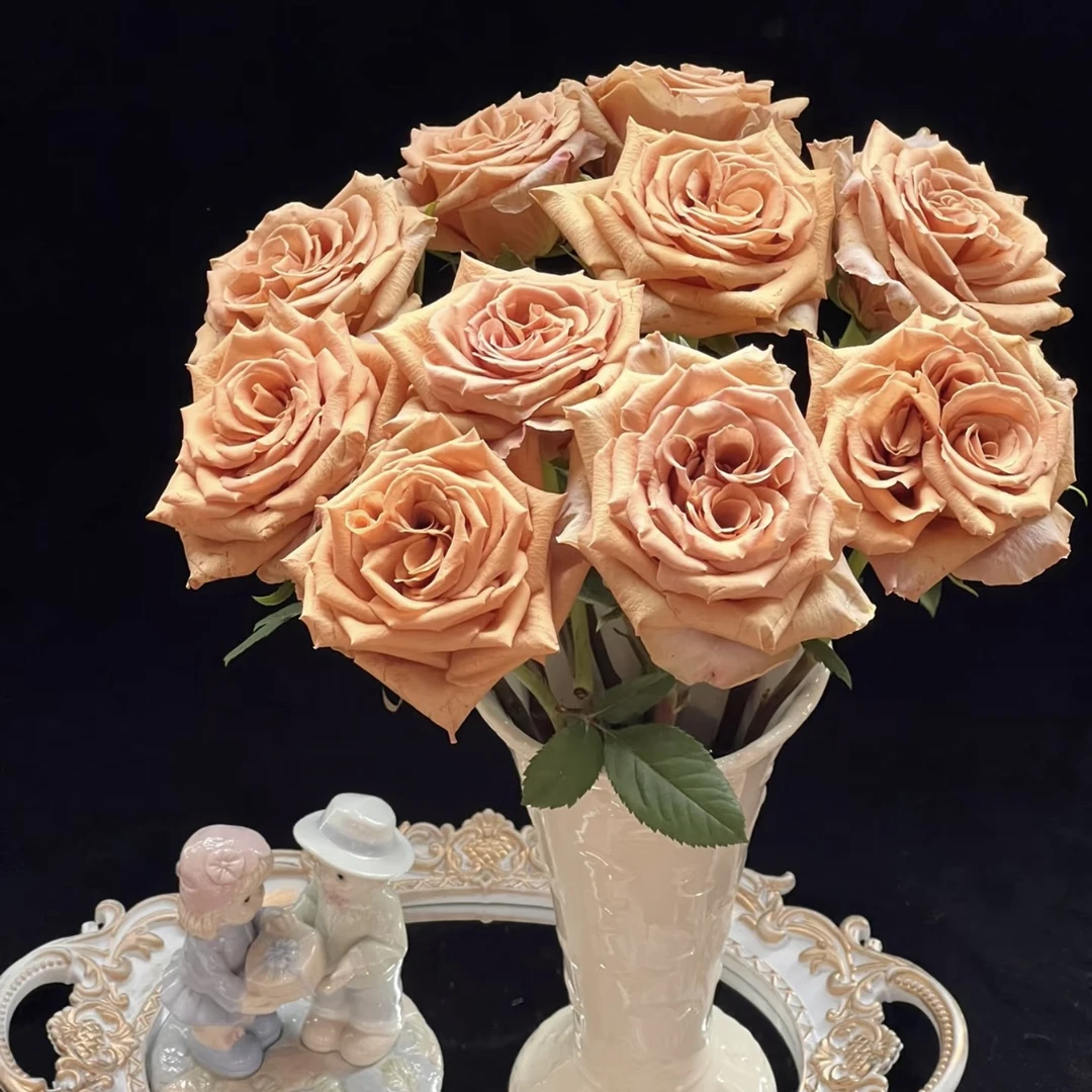 摩卡玫瑰20枝（一单中通不售后两单空运包售后）