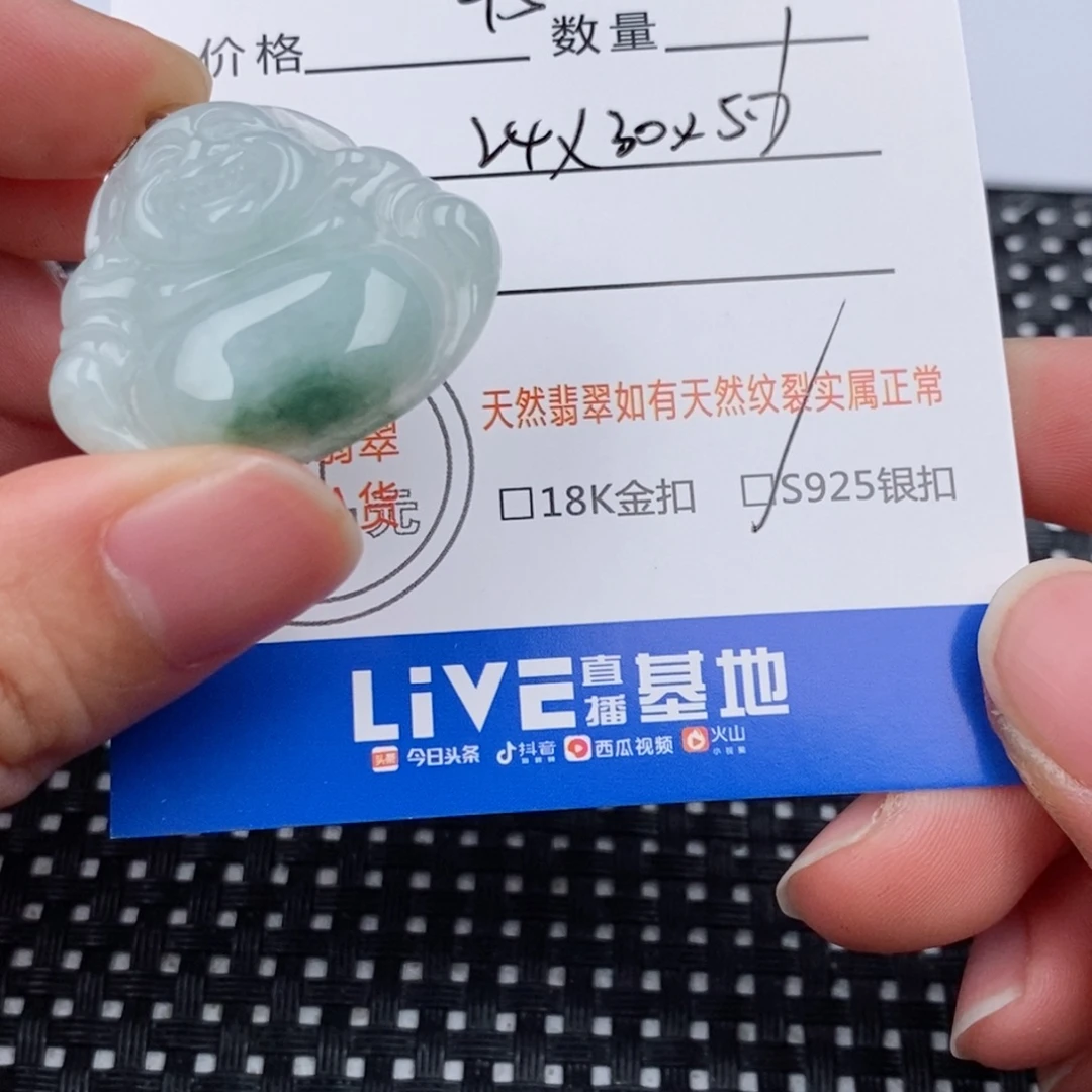 翡翠银S925镶嵌颈饰