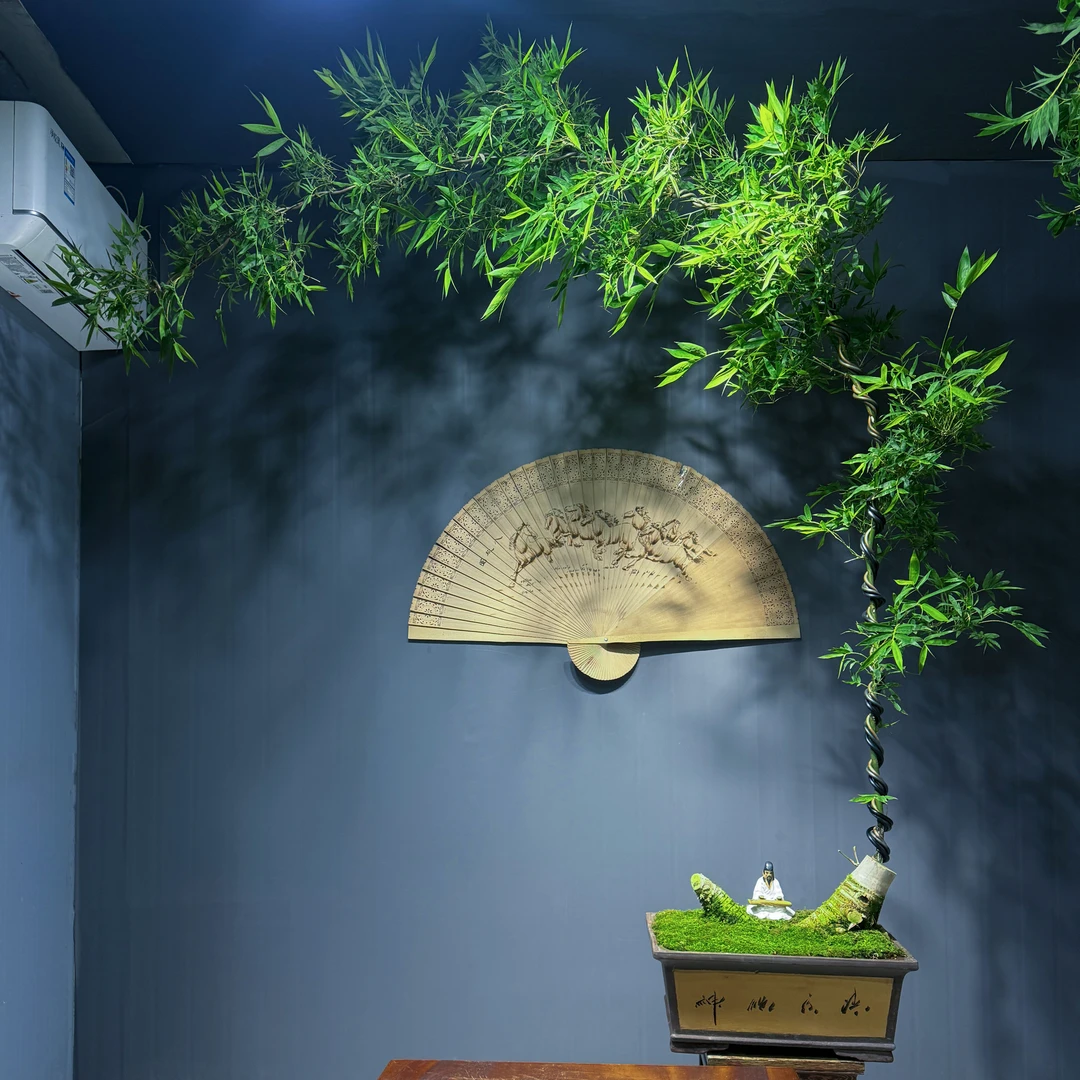 中式禅意复古紫砂簕竹高端盆景#独特个性风味老桩文人飘簕竹盆景。