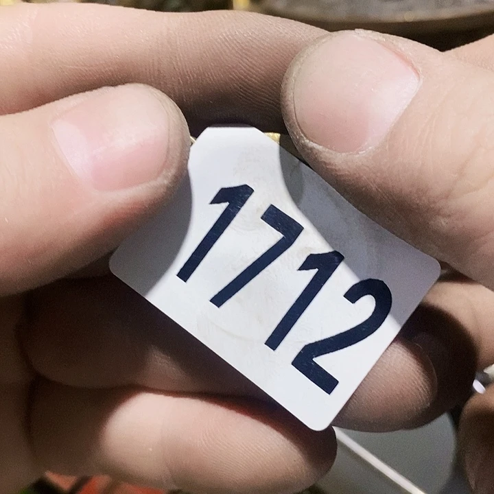 闪购活动活动活动1712
