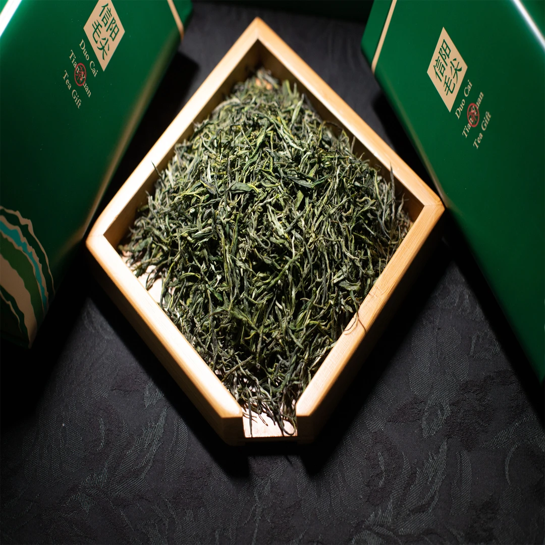 原产信阳毛尖茶2025新茶口感香浓绿茶茶叶谷雨口粮茶