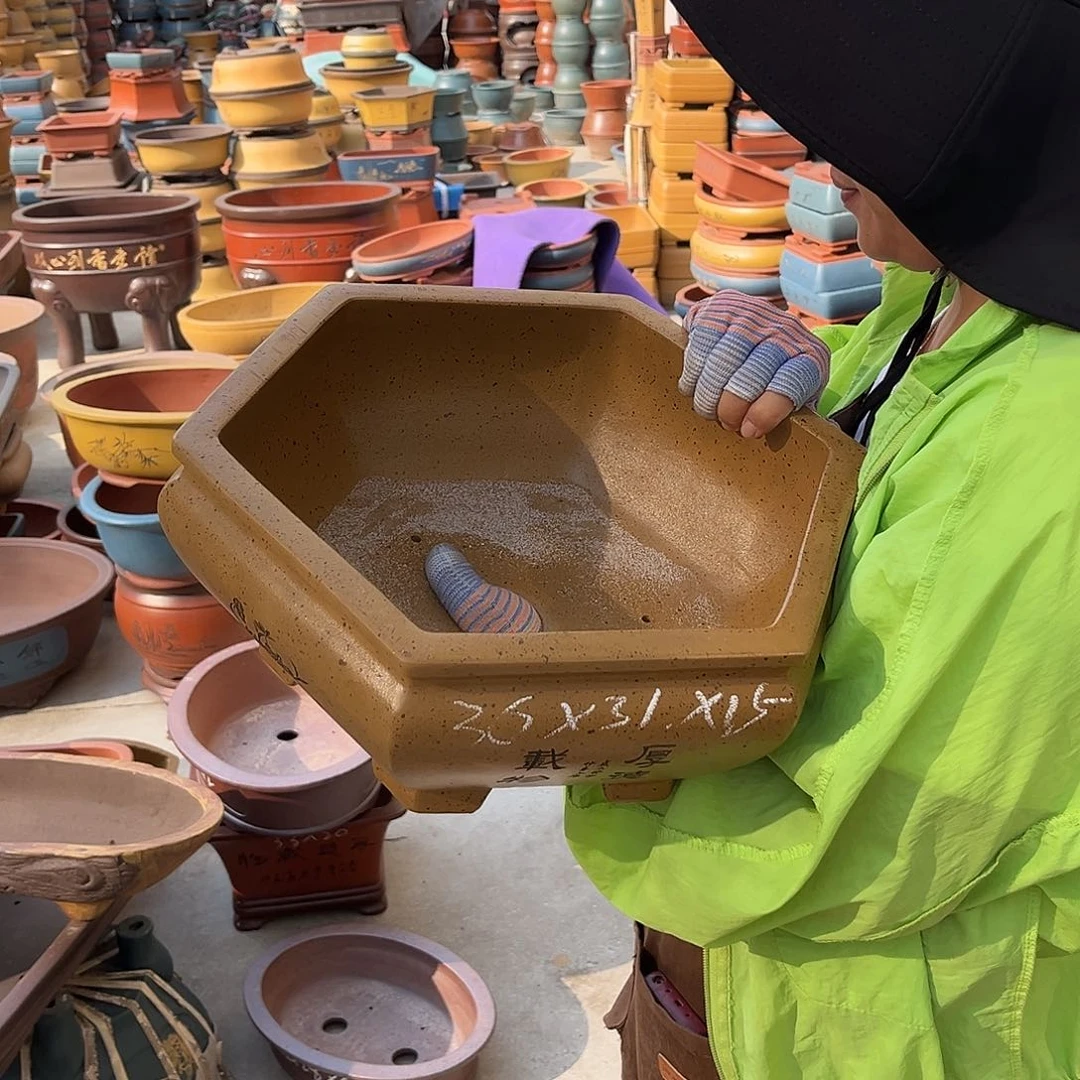 紫砂花盆盆景艺术