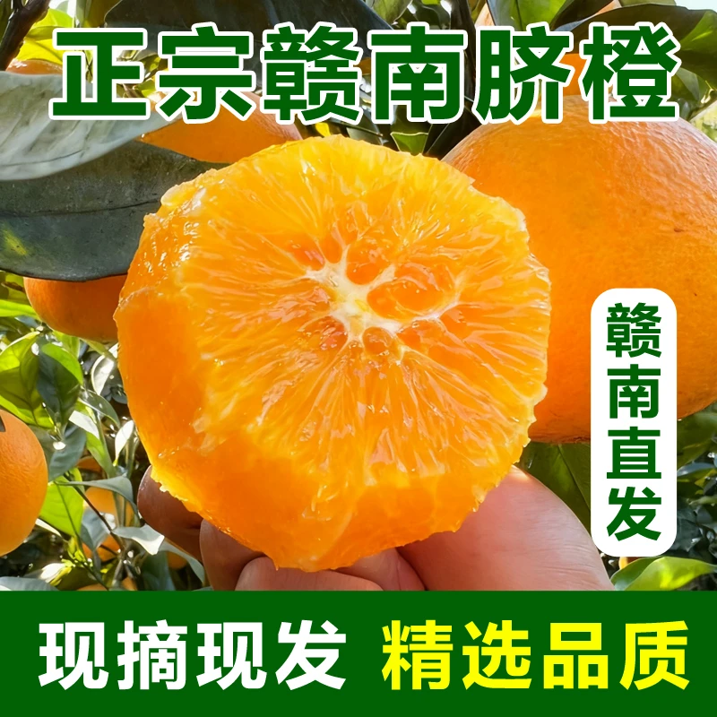 江西赣南脐橙寻乌产地直发，10斤新鲜手剥甜橙当季水果整箱包邮