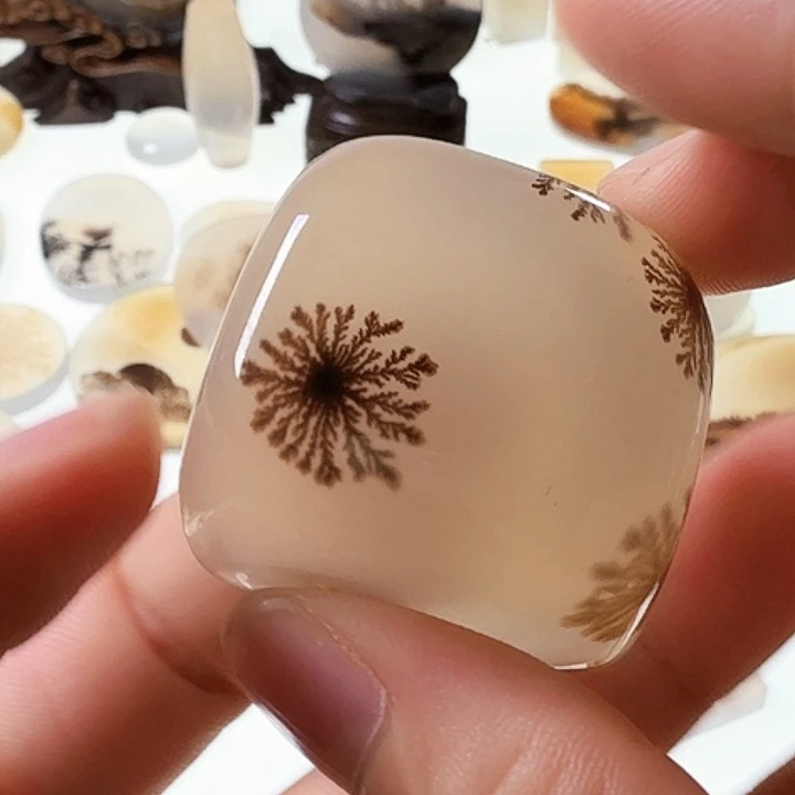 赵***.未镶嵌玛瑙/玉髓珠宝半成品