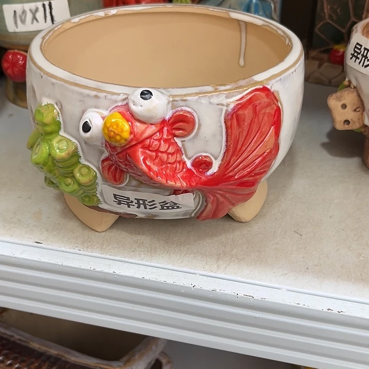 粗陶材质多肉花盆