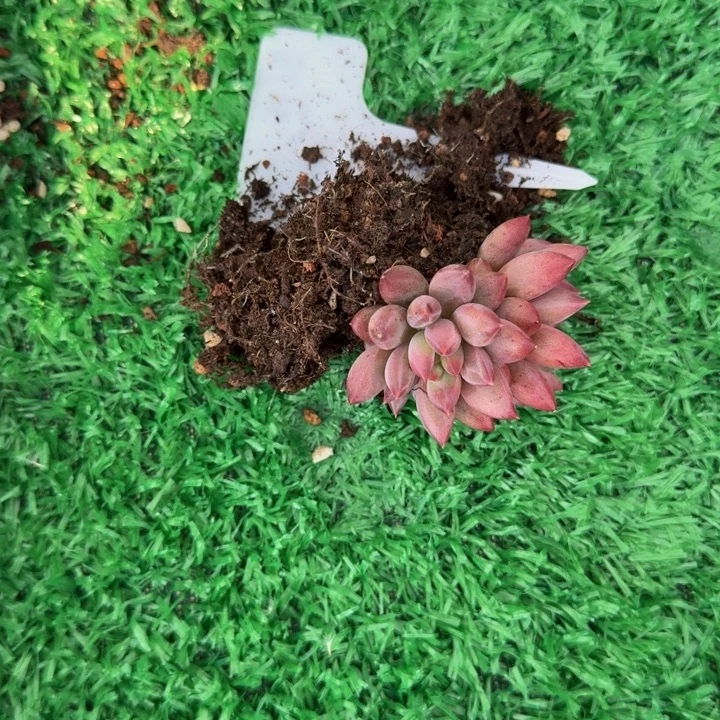 时****哈哈哈哈哈哈哈哈哈