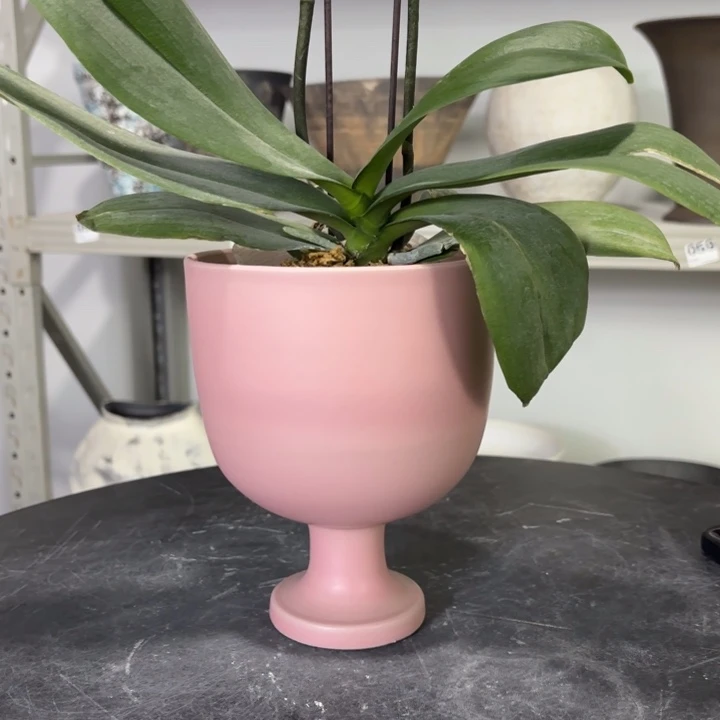 哦哦哦哦哦哦哦口13高17有孔