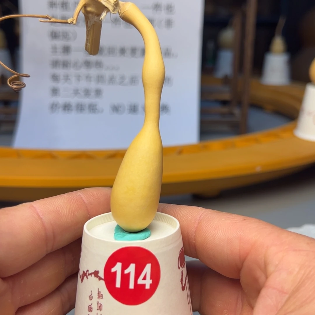 闪电购自助下单编号114