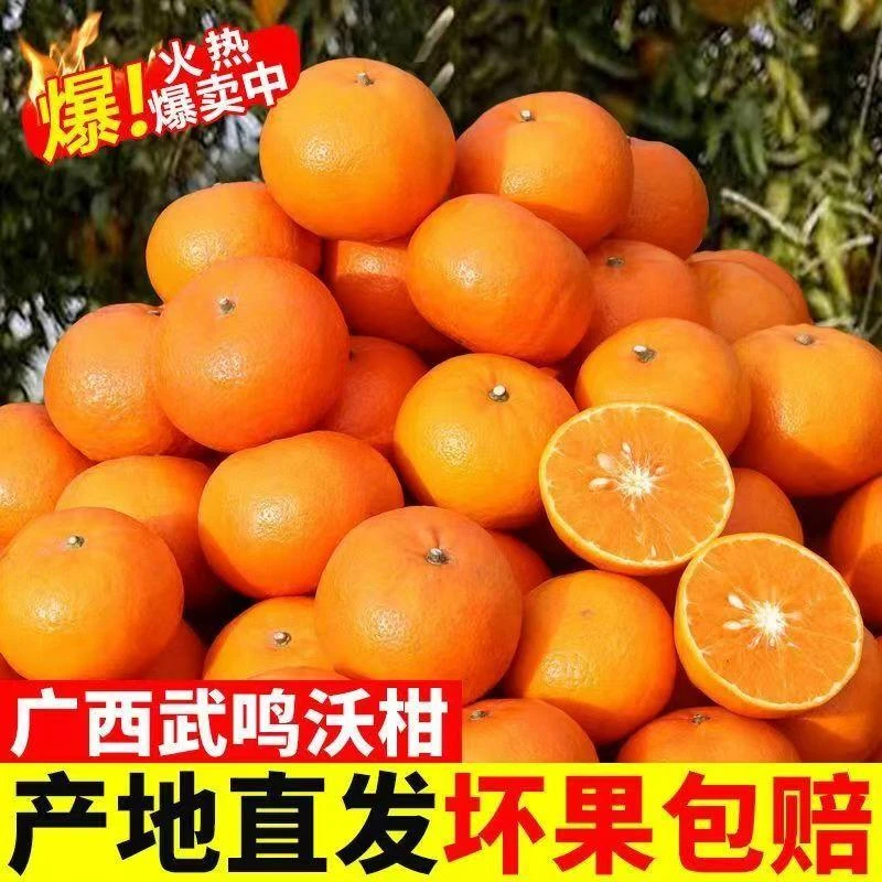 A+ 正宗广西时令水果武鸣沃柑脆甜多汁新鲜采摘皮薄肉厚