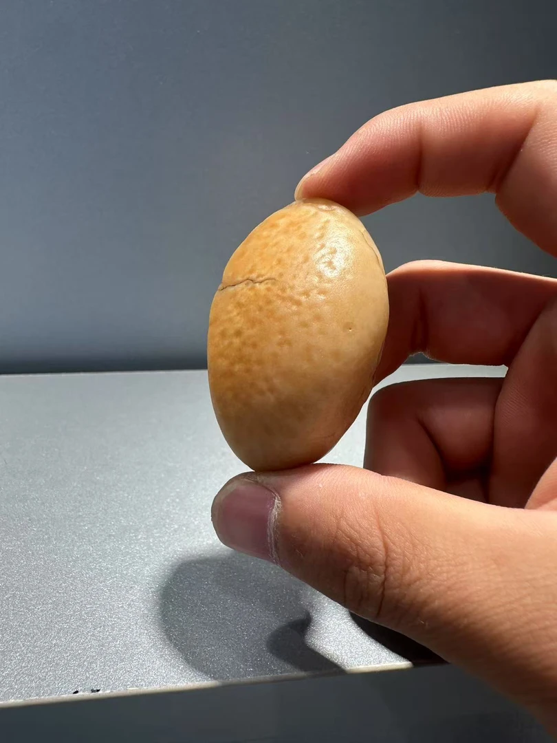 求真悟石专拍链接