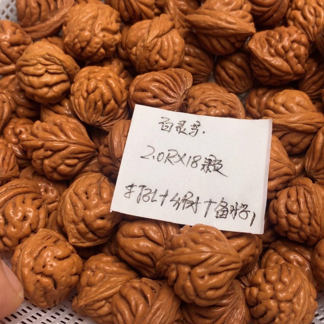 龙纹桃核豹子头20尺